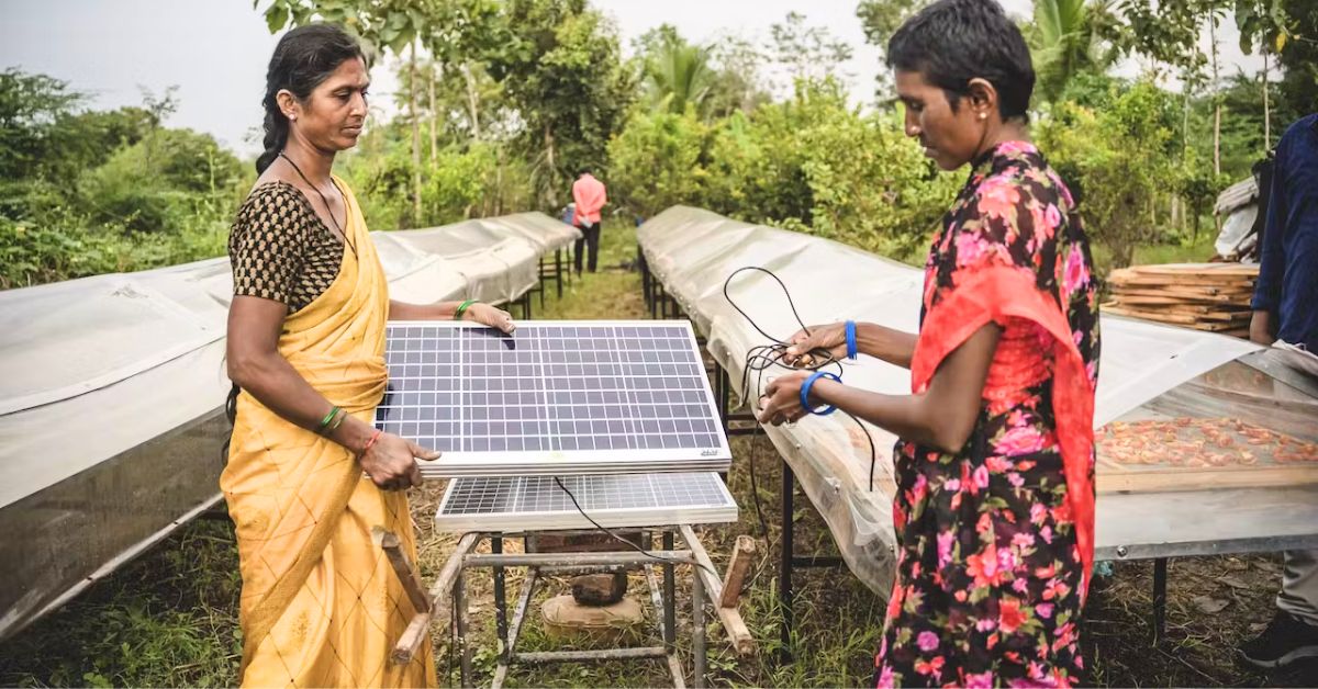 There has been a surge in loans for DRE (decentralised renewable energy) livelihood technologies — such as hydroponic fodder systems and solar dryers