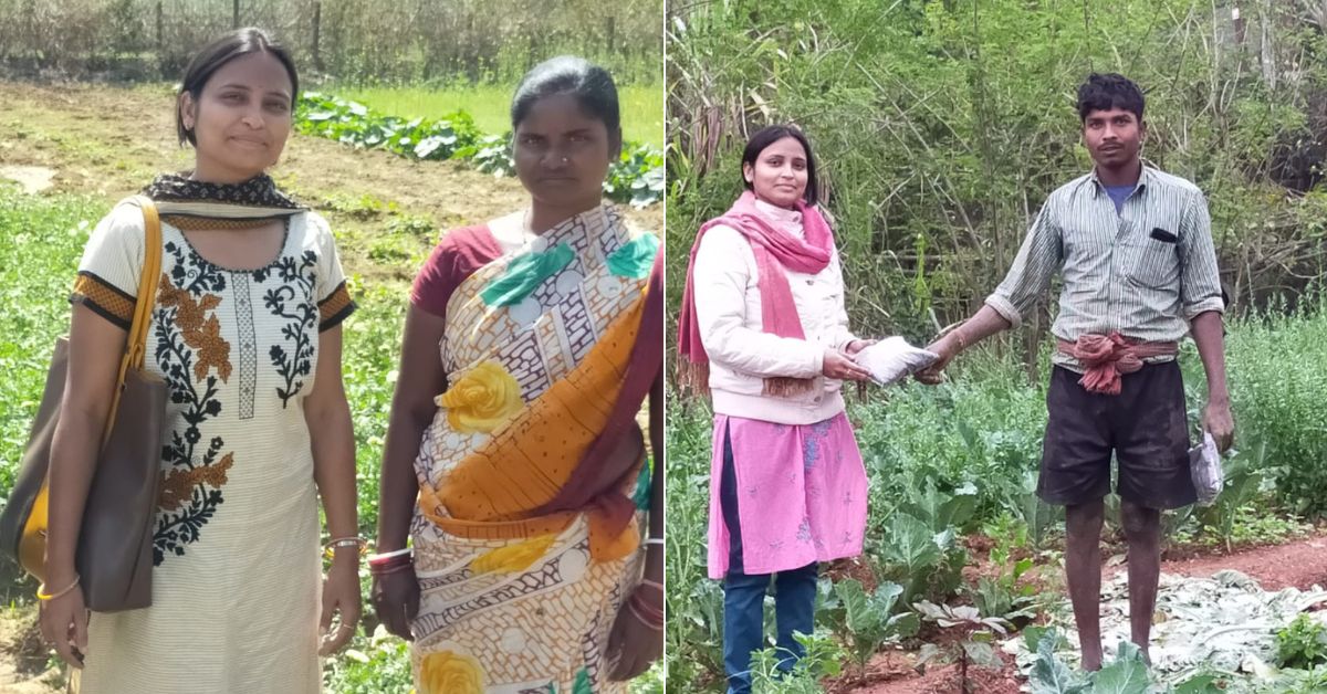 The transformation helped revitalise the livelihoods of over 500 farmers.