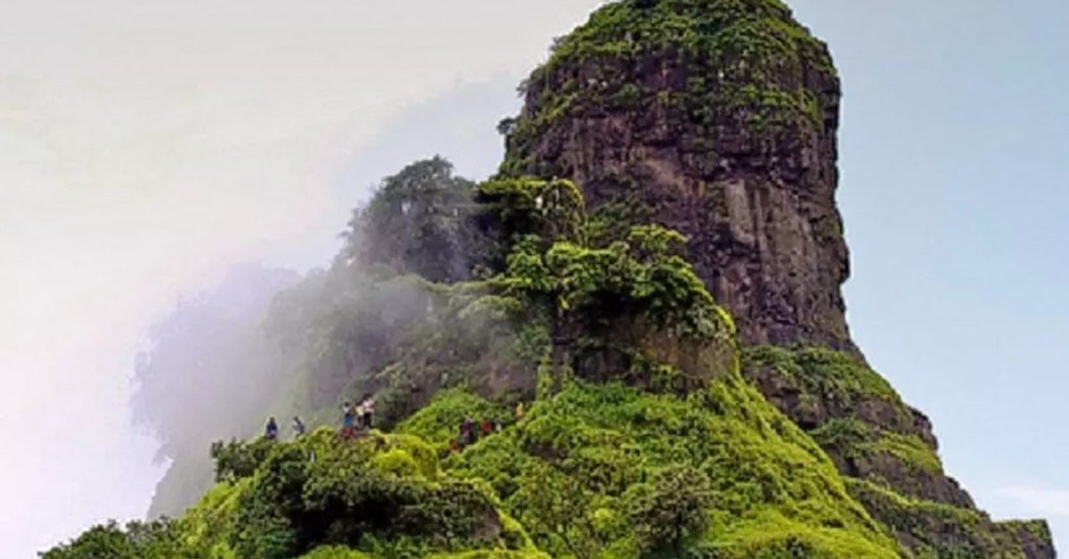 With fresh air, natural beauty, and a sense of adventure, Karnala makes the perfect destination for a relaxed family getaway; Picture source: Medium
