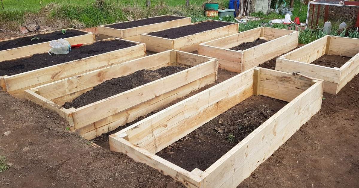 Shape your land with gentle slopes or raised beds to allow excess water to move away; Picture source: Epic Gardening