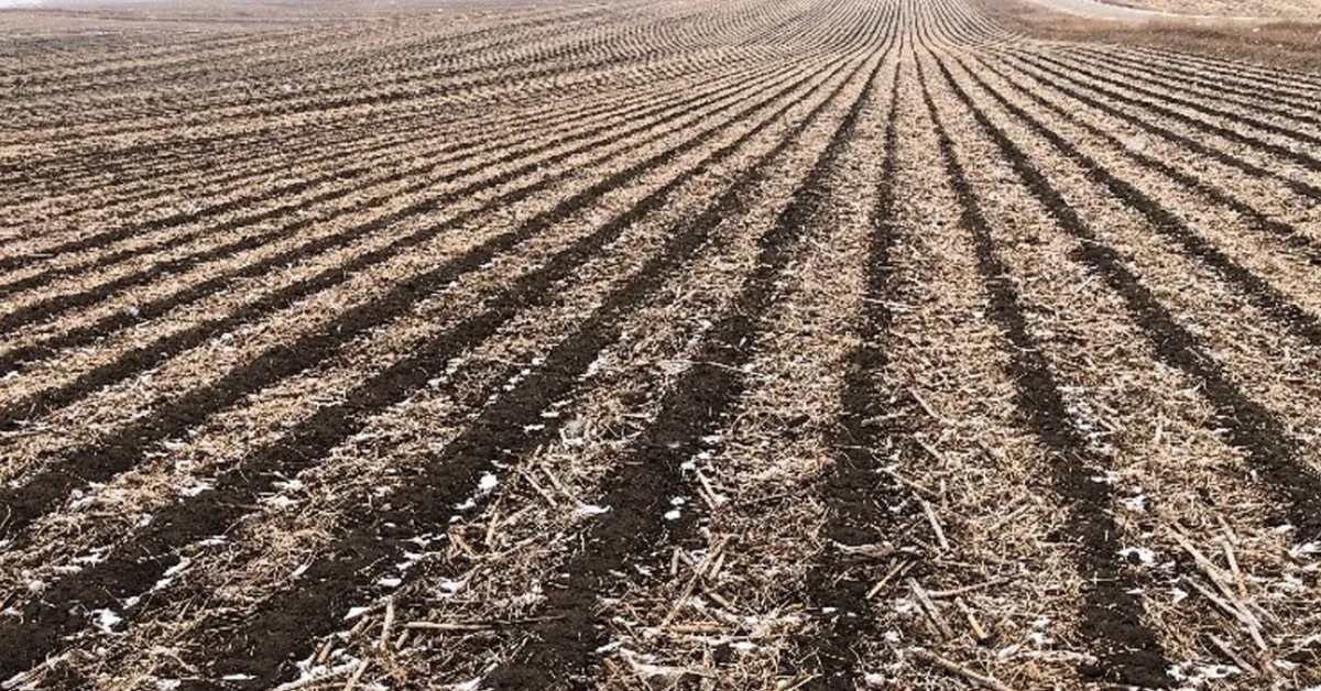 Over-tilling can actually damage soil structure, especially when it is still moist, so it is important to be careful; Picture source: Farm Progress
