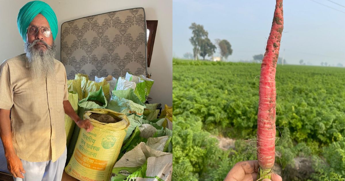 How Punjab Farmer Phuman Singh Earns Rs 1 Crore/Year From Carrot Farming on 80 Acres