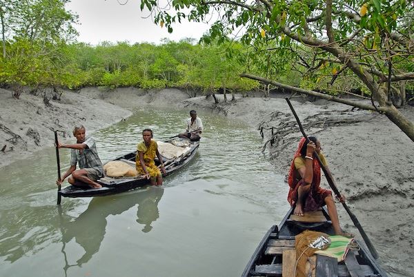 Anil Mistry leads conservation in Sundarbans, training villagers in farming, fishing and vet care.