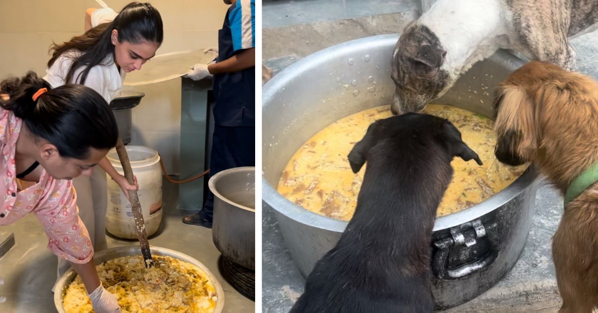Inside the Delhi Cafe Where 2 Dog Lovers Turned 5500 Kg of Leftovers Into Hope for Strays