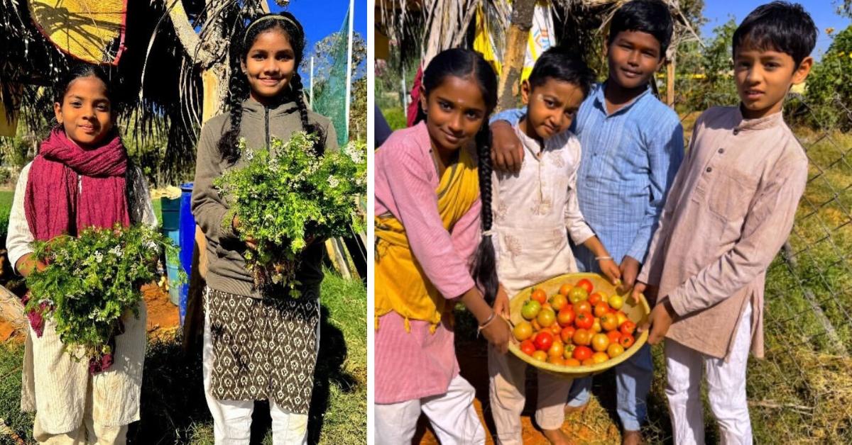 Students harvest fresh produce from the school farm, learning where food comes from and how to grow it.