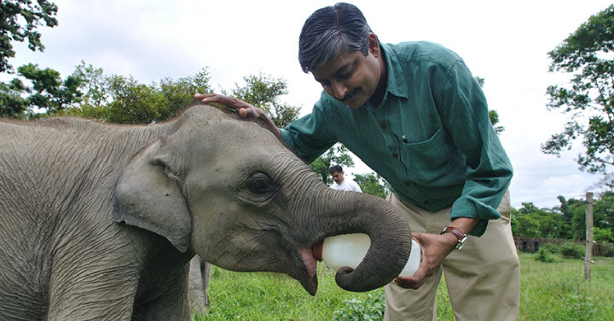Vivek Menon’s Journey to Protect Elephants With 101 Corridors in India